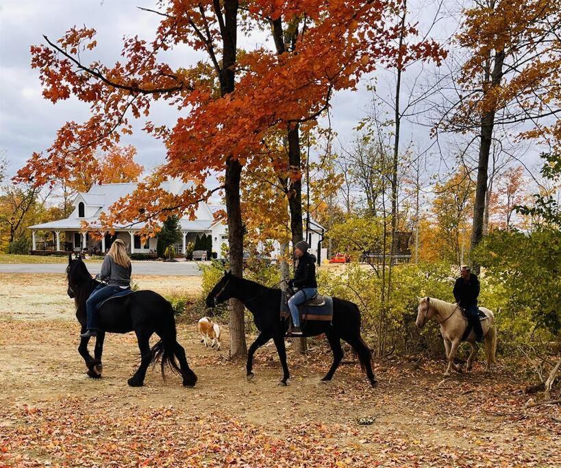 Large Log Cabin Chalet W/ Hot Tub - Horses & Lake! Villa Loveland ภายนอก รูปภาพ